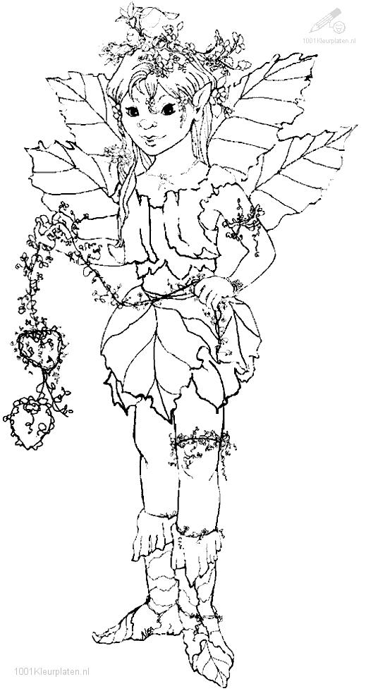 Coloring page: Elf (Characters) #93891 - Free Printable Coloring Pages