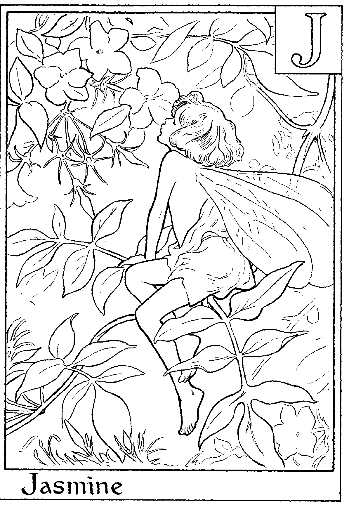 Coloring page: Fairy (Characters) #95852 - Free Printable Coloring Pages