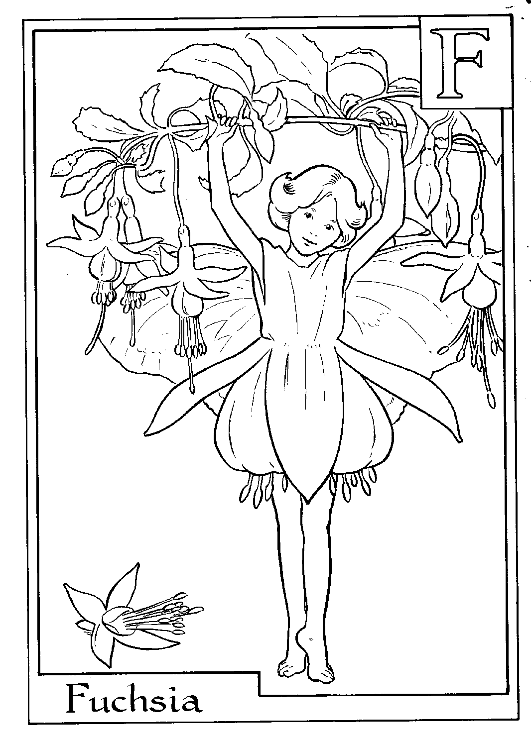 Coloring page: Fairy (Characters) #96019 - Printable coloring pages
