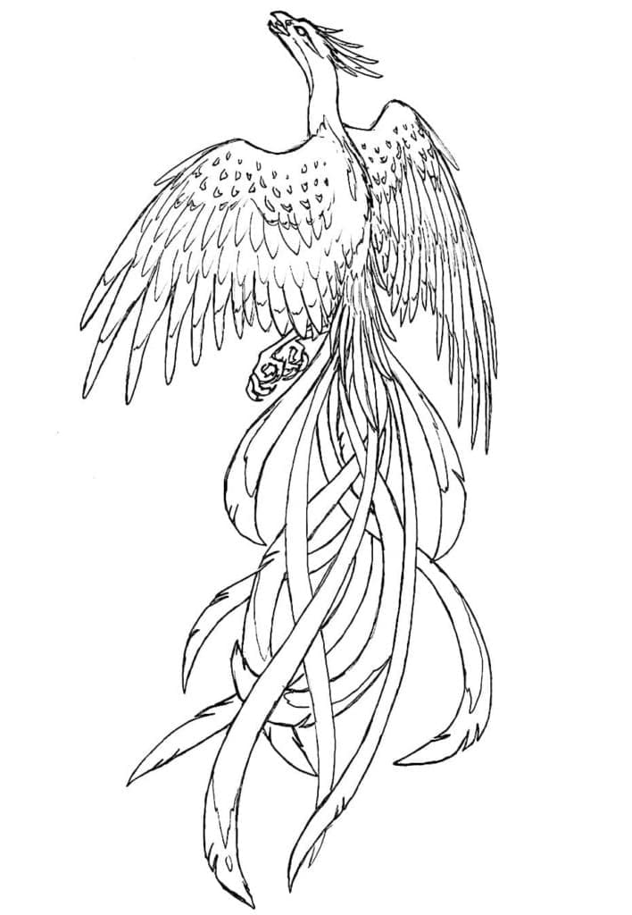 Free printable Phoenix coloring page #192272 from Characters collection