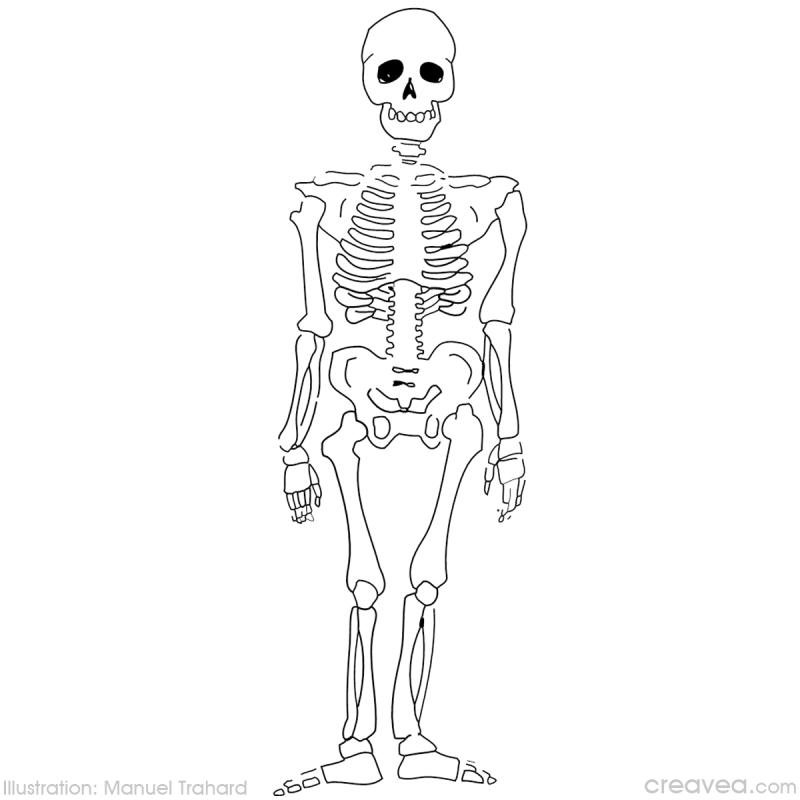 Coloring page: Skeleton (Characters) #147416 - Free Printable Coloring Pages