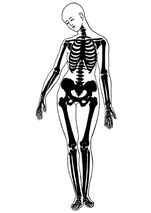 Coloring page: Skeleton (Characters) #147418 - Free Printable Coloring Pages