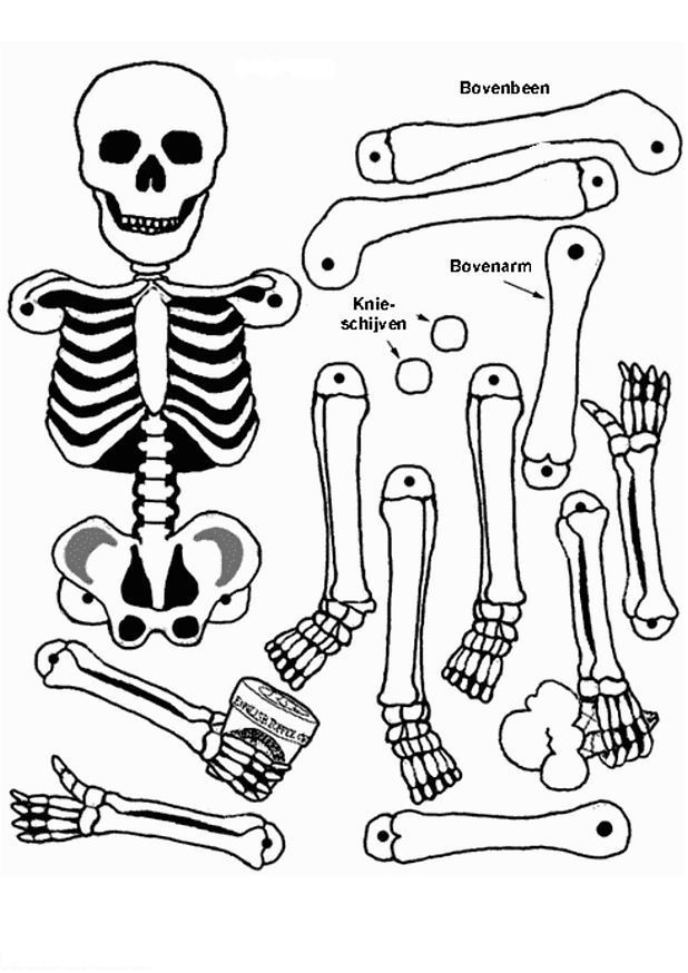 Coloring page: Skeleton (Characters) #147419 - Free Printable Coloring Pages