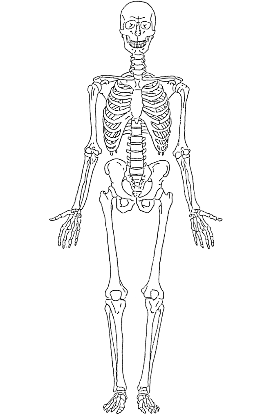 Coloring page: Skeleton (Characters) #147424 - Free Printable Coloring Pages