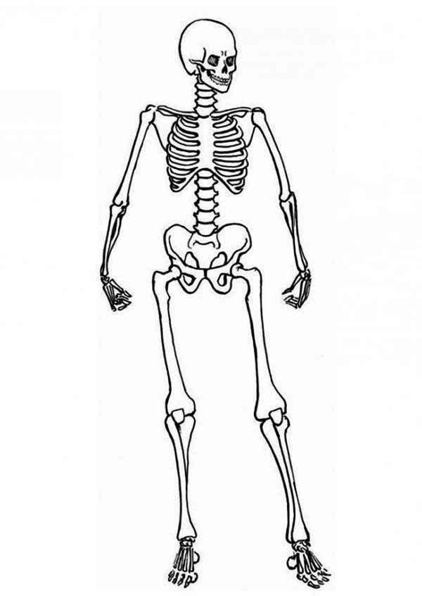 Coloring page: Skeleton (Characters) #147428 - Free Printable Coloring Pages