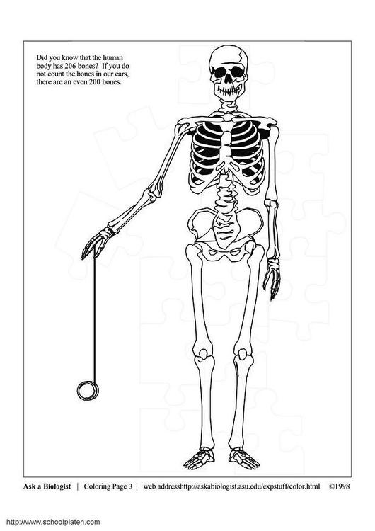 Coloring page: Skeleton (Characters) #147456 - Free Printable Coloring Pages