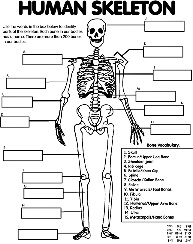 Coloring page: Skeleton (Characters) #147475 - Free Printable Coloring Pages