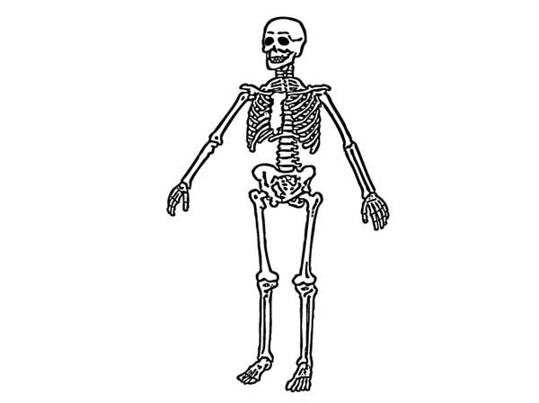 Coloring page: Skeleton (Characters) #147554 - Free Printable Coloring Pages