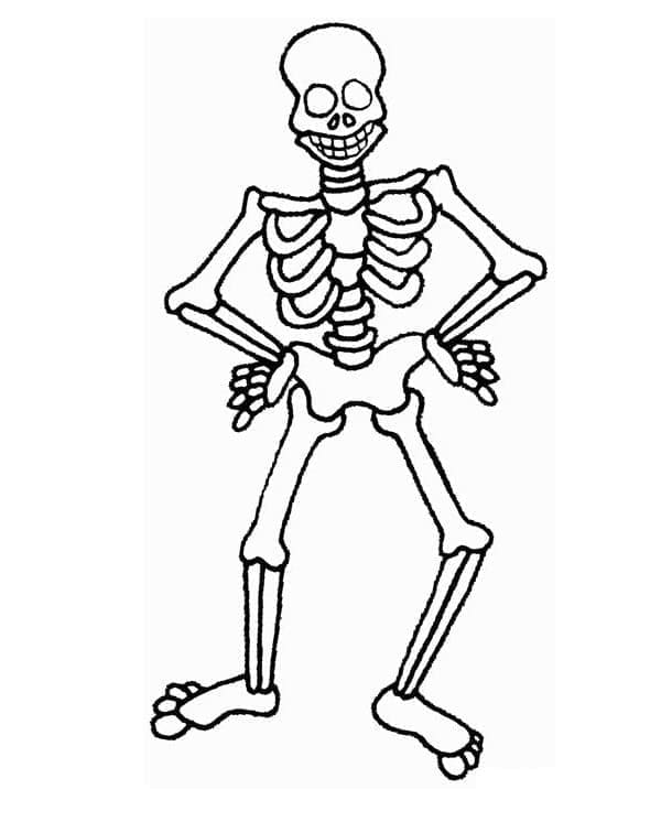 Free printable Skeleton coloring page #197341 from Characters collection