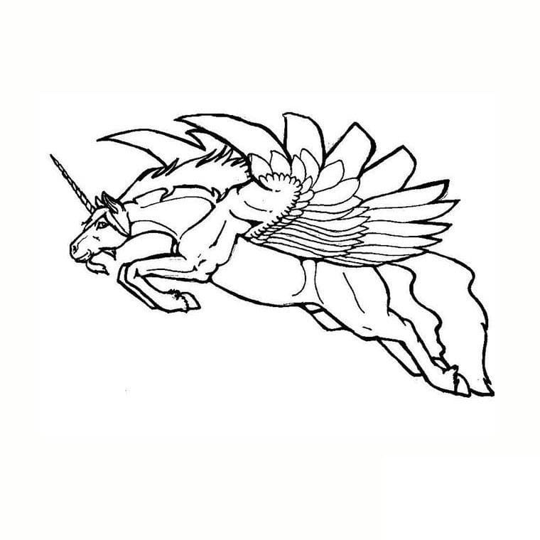 Free printable Unicorn coloring page #171370 from Characters collection Free printable Unicorn coloring page #171370 from Characters collection