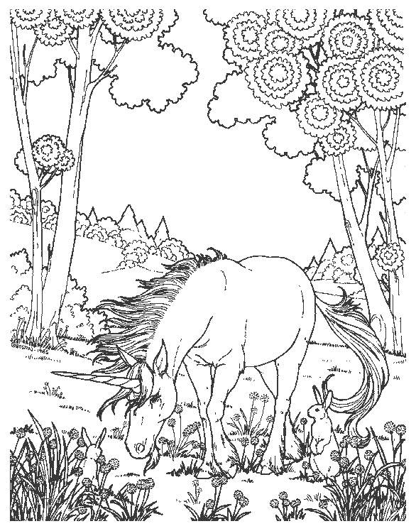 54 Printable Unicorn Coloring Pages Hard  Latest HD