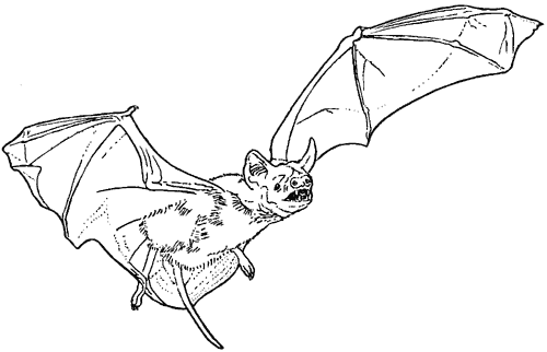 Coloring page: Vampire (Characters) #85965 - Free Printable Coloring Pages
