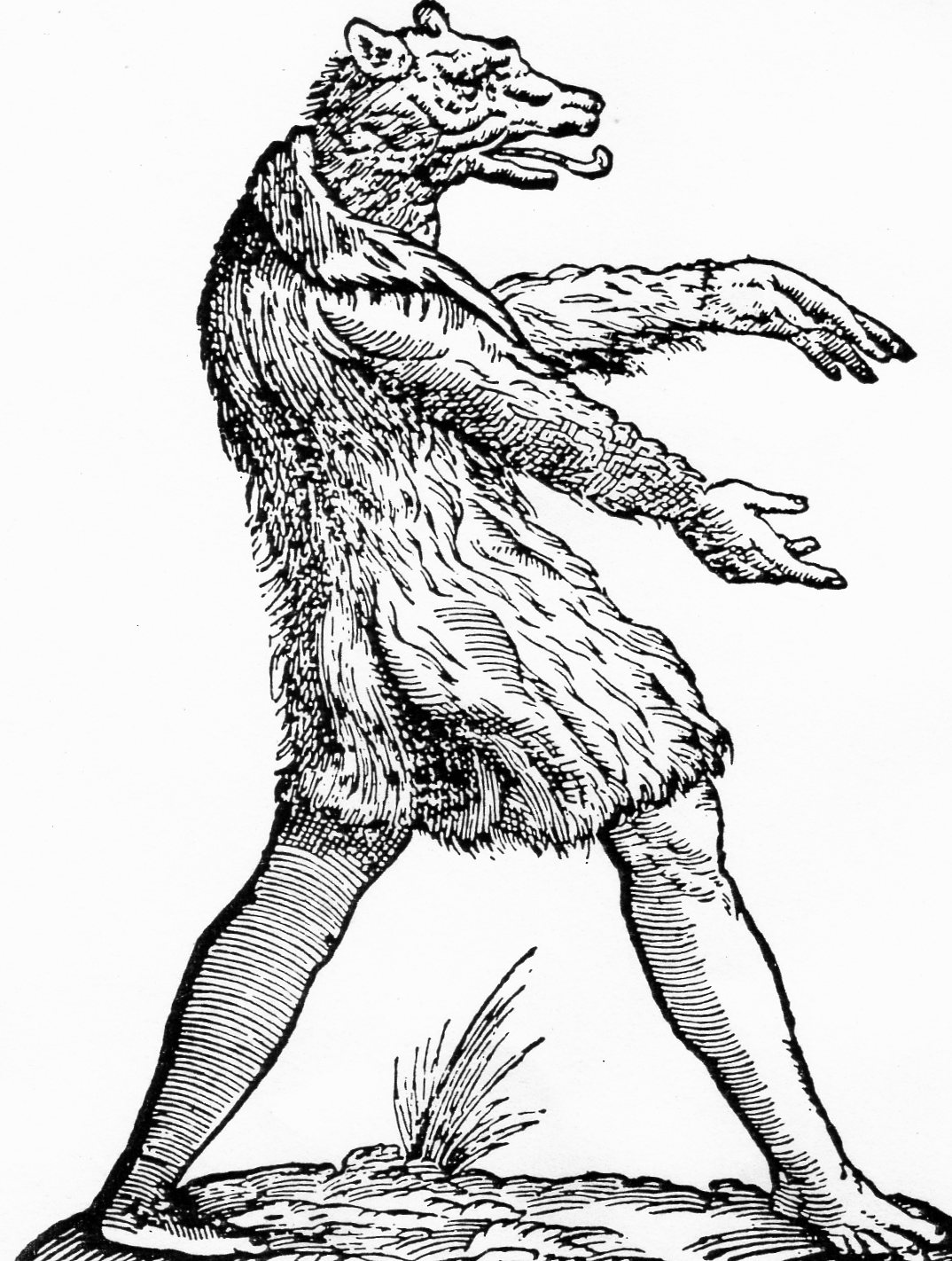 Coloring page: Werewolf (Characters) #100104 - Free Printable Coloring Pages