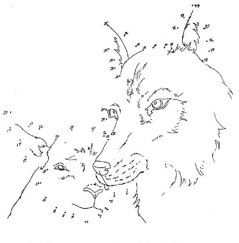 Coloring page: Point to point coloring (Color by Number) #125861 - Free Printable Coloring Pages