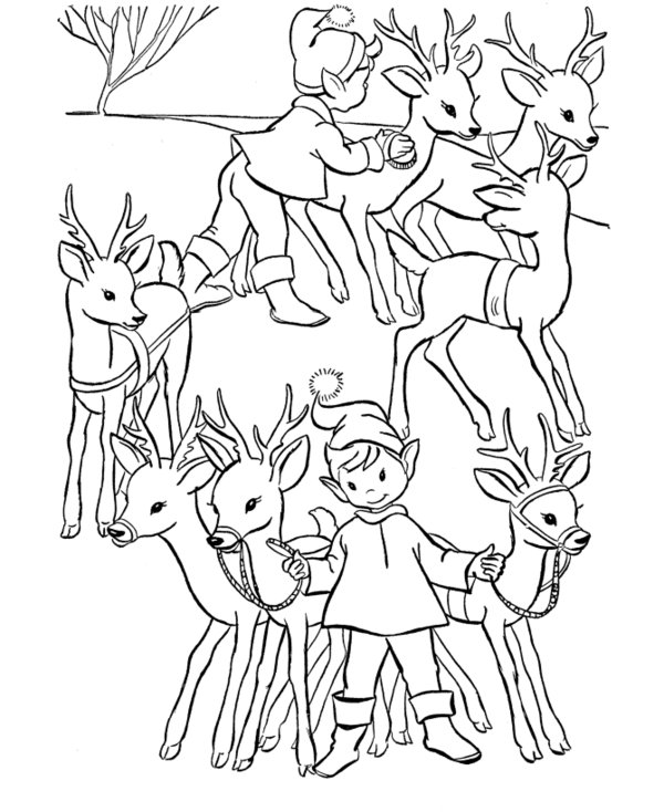 Coloring page: Elf (Fantasy and Adventure Characters) #93958 - Free Printable Coloring Pages