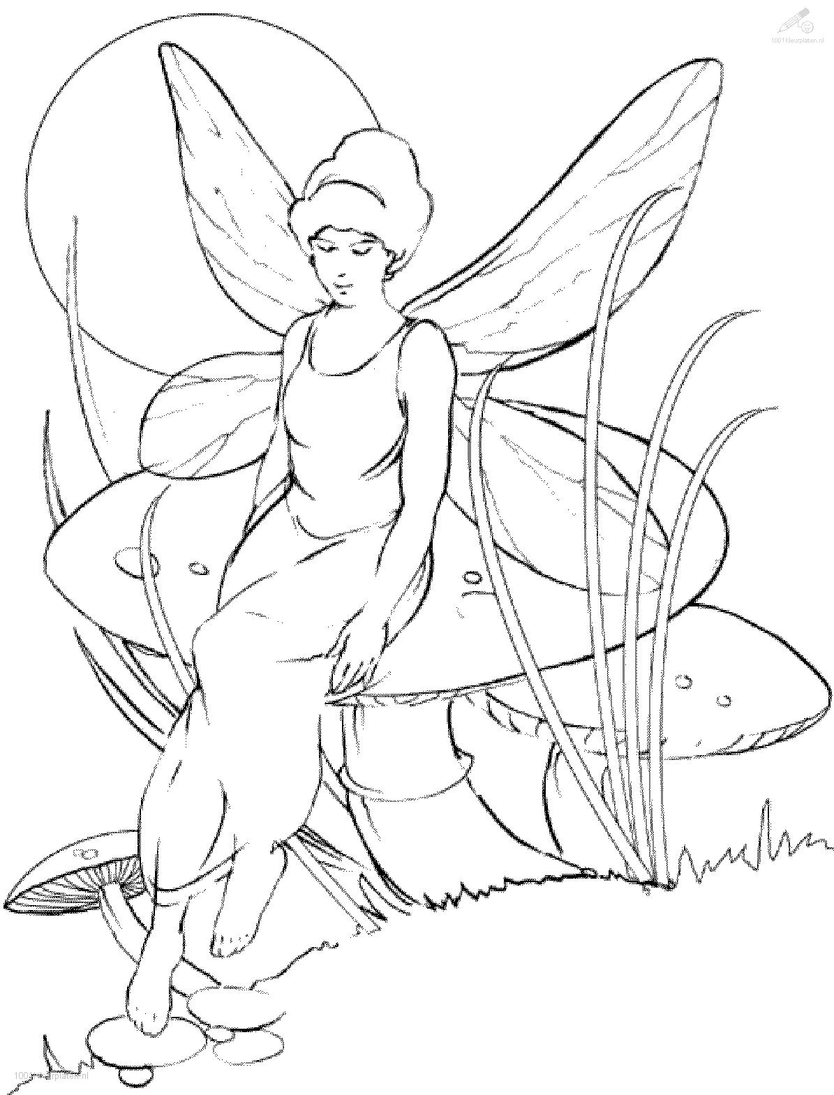 Coloring page: Elf (Fantasy and Adventure Characters) #93974 - Free Printable Coloring Pages