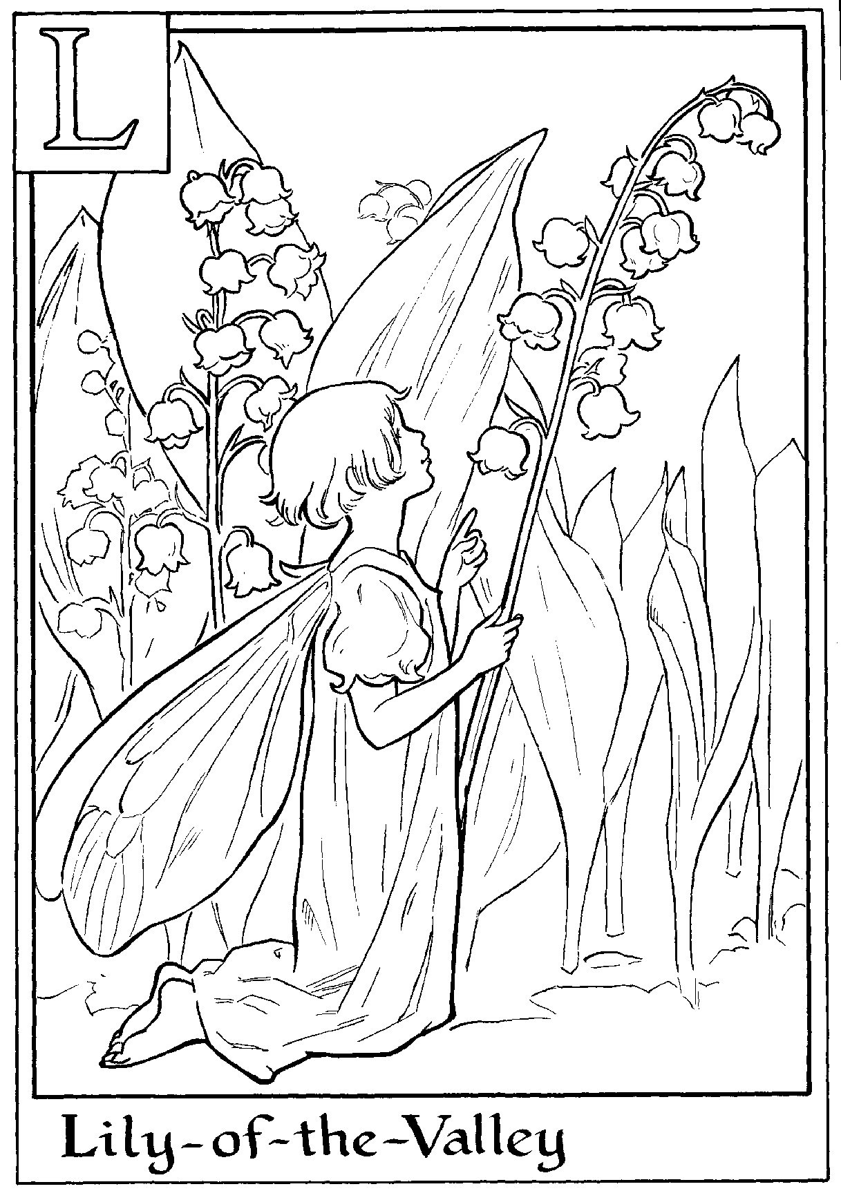 Coloring page: Fairy (Fantasy and Adventure Characters) #95892 - Free Printable Coloring Pages
