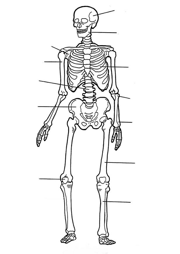 Coloring page: Skeleton (Fantasy and Adventure Characters) #147522 - Free Printable Coloring Pages