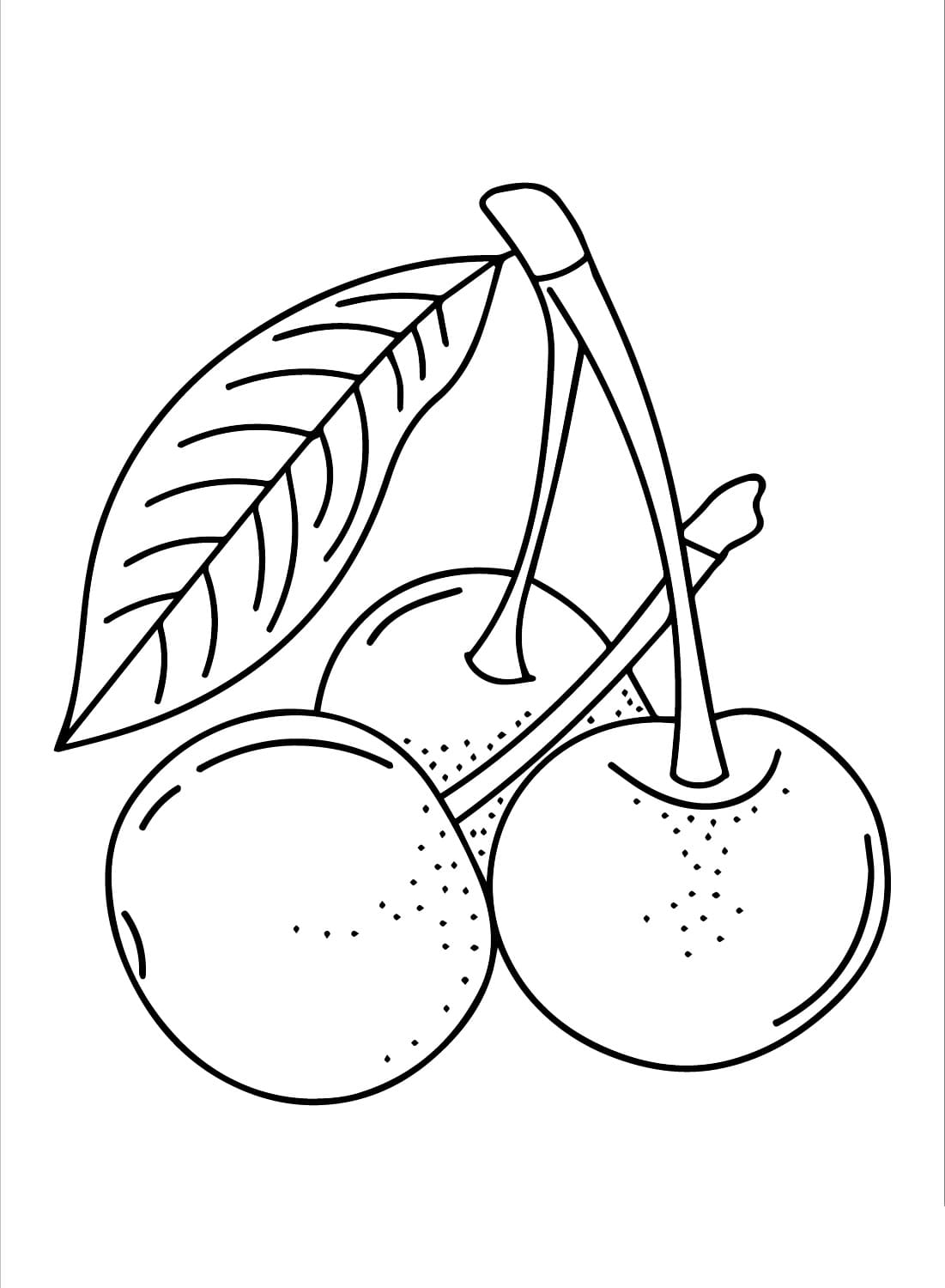 Free printable Cherry coloring page #190093 from Food and Nutrition collection