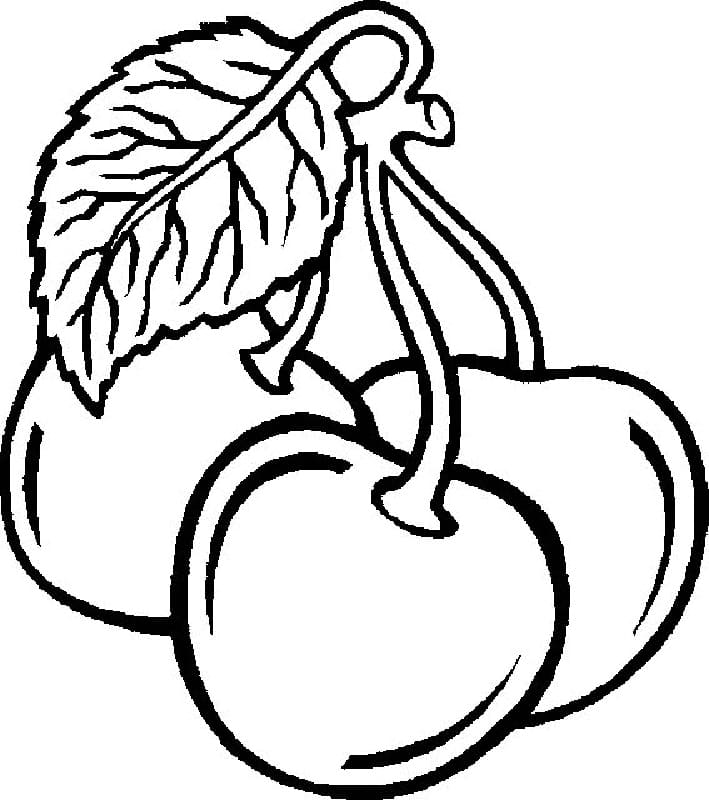 Coloring page: Cherry (Food and Nutrition) #190109 - Free Printable Coloring Pages