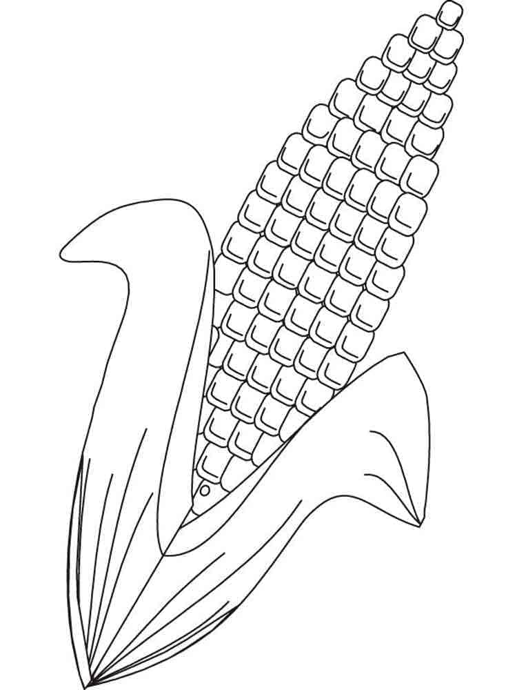 Free printable Corn coloring page #207450 from Food and Nutrition collection Free printable Corn coloring page #207450 from Food and Nutrition collection