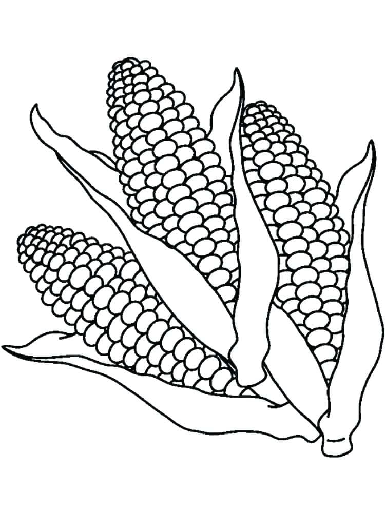 Coloring page: Corn (Food and Nutrition) #207467 - Free Printable Coloring Pages