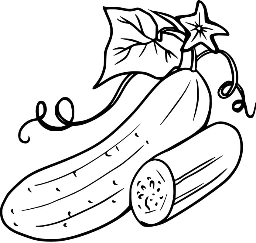 Free printable Cucumber coloring page #207534 from Food and Nutrition collection