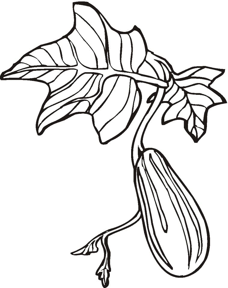 Free printable Cucumber coloring page #207546 from Food and Nutrition collection