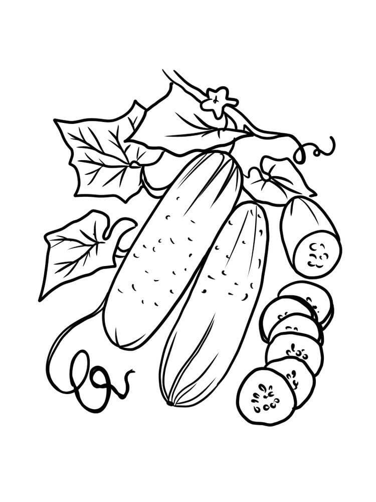 Free printable Cucumber coloring page #207548 from Food and Nutrition collection