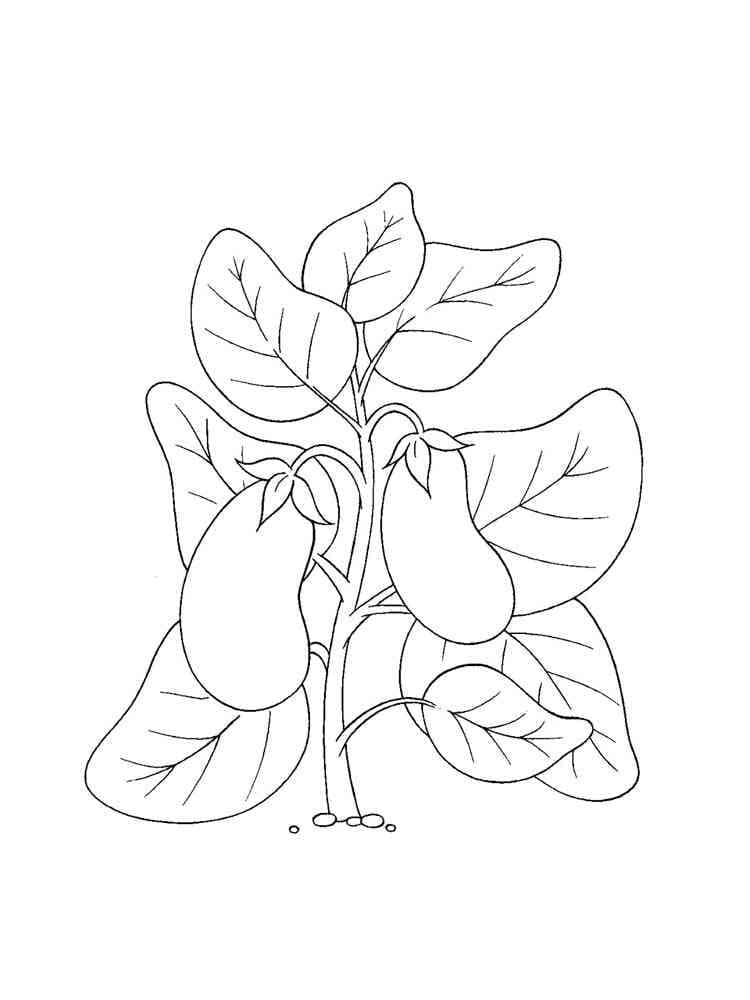 Free printable Eggplant coloring page #207493 from Food and Nutrition collection