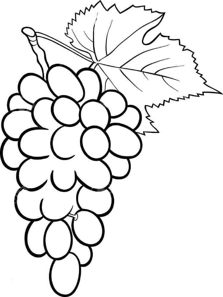 Free printable Grapes coloring page #212405 from Food and Nutrition collection