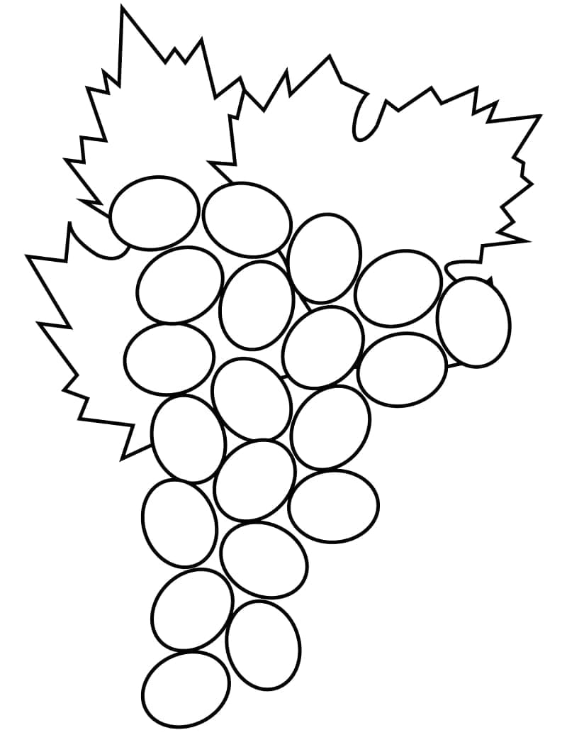Free printable Grapes coloring page #212417 from Food and Nutrition collection
