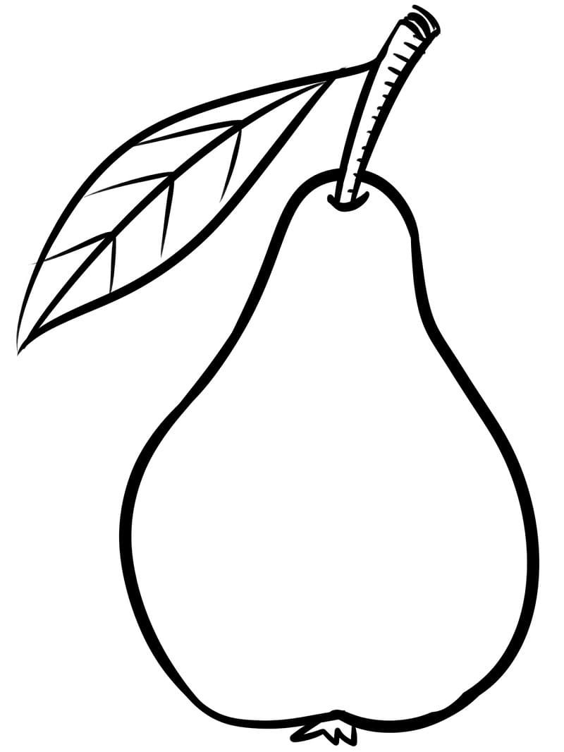 Free printable Perry coloring page #203744 from Food and Nutrition collection