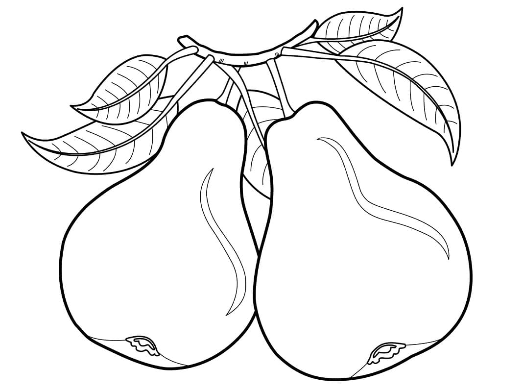 Free printable Perry coloring page #203748 from Food and Nutrition collection