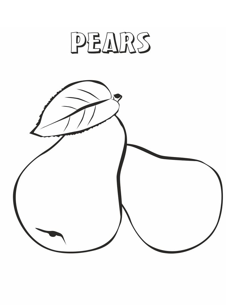 Free printable Perry coloring page #203750 from Food and Nutrition collection