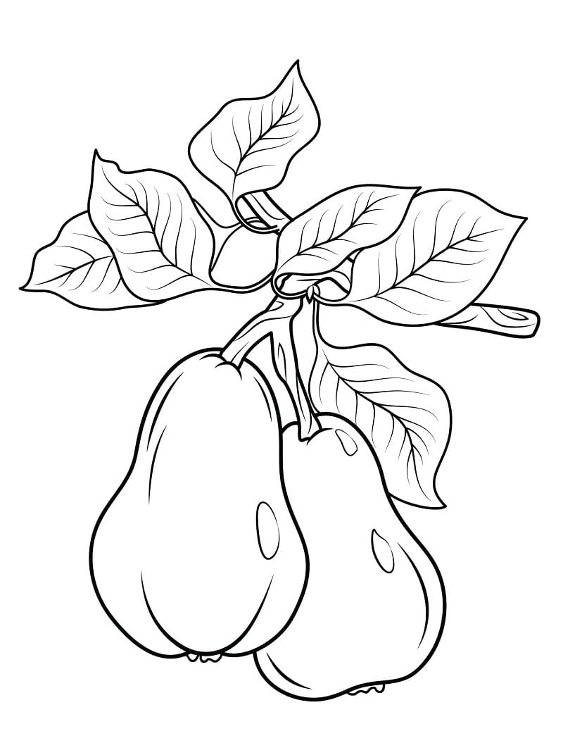 Free printable Perry coloring page #203752 from Food and Nutrition collection