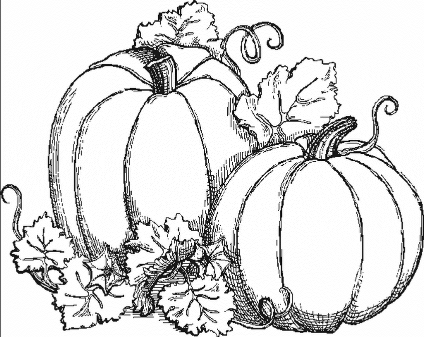 Free printable Pumpkin coloring page #166934 from Food and Nutrition collection