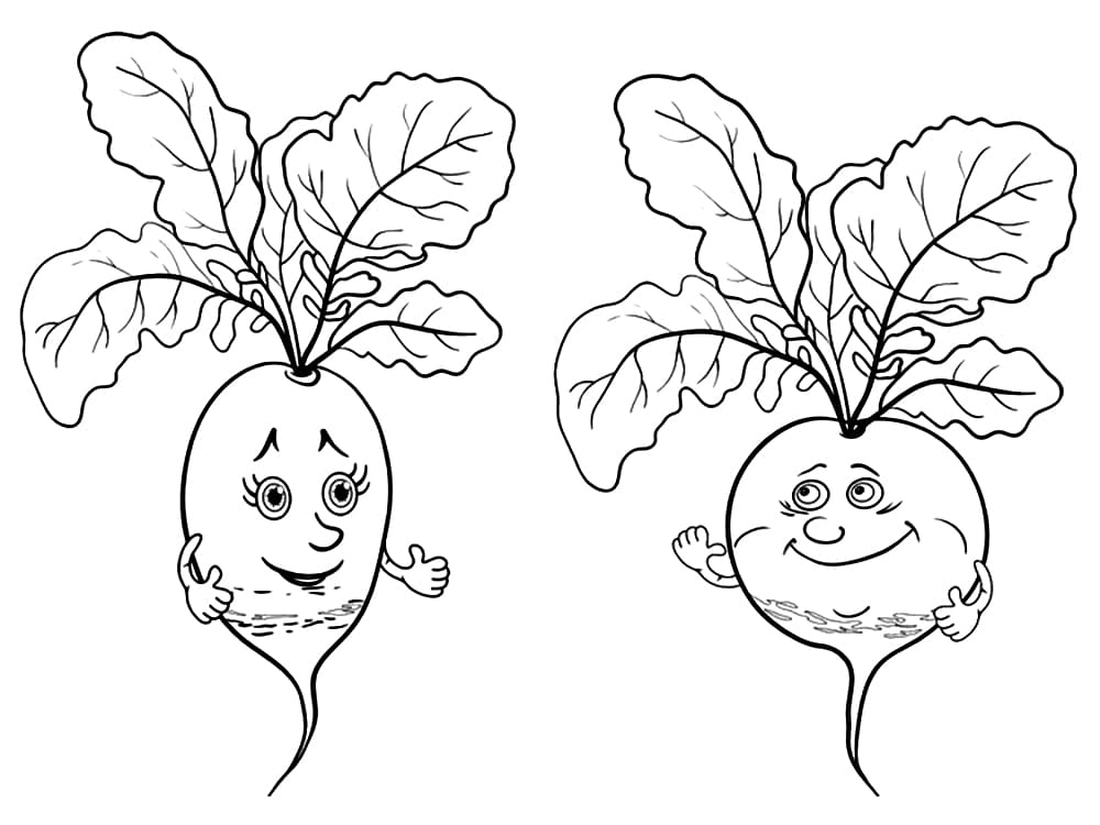 Coloring page: Radish (Food and Nutrition) #220972 - Free Printable Coloring Pages