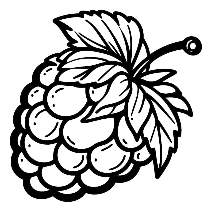 Free printable Raspberry coloring page #214022 from Food and Nutrition collection