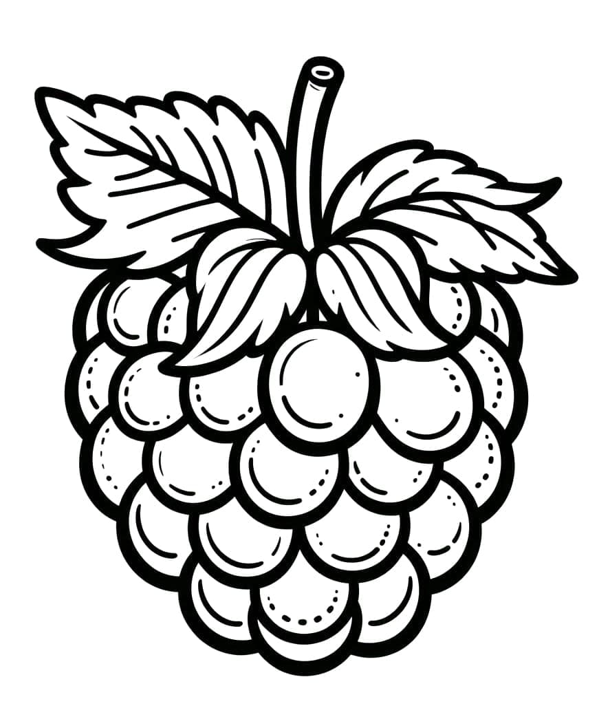 Free printable Raspberry coloring page #214036 from Food and Nutrition collection