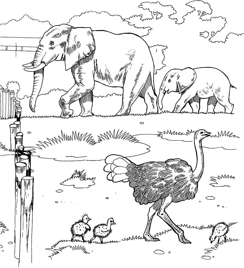 Free printable Africa coloring page #193738 from Geography and Places collection