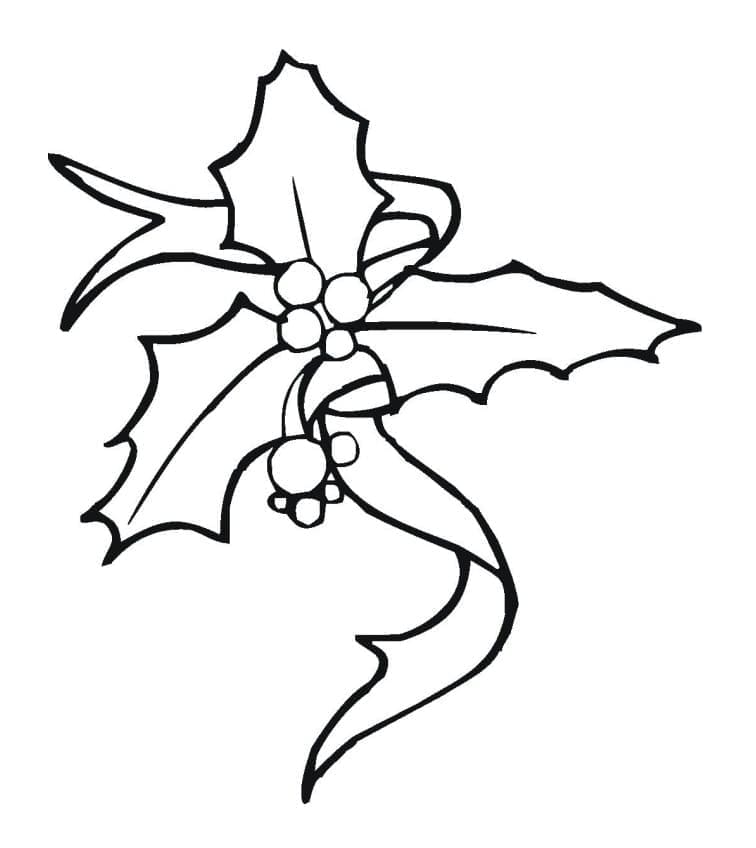 Free printable Christmas Holly coloring page #217581 from Holidays and Celebrations collection