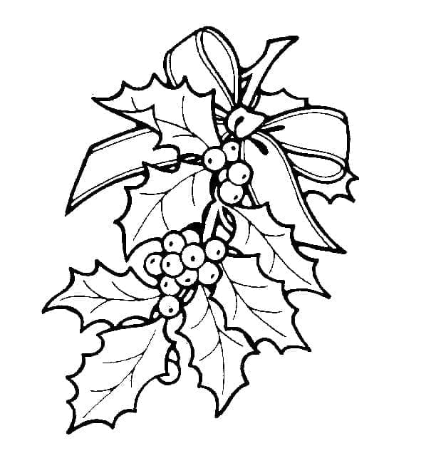 Free printable Christmas Holly coloring page #217586 from Holidays and Celebrations collection
