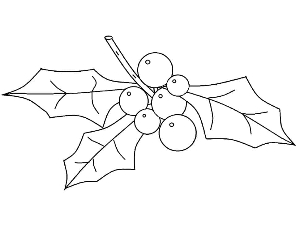 Free printable Christmas Holly coloring page #217590 from Holidays and Celebrations collection