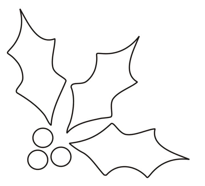 Free printable Christmas Holly coloring page #217592 from Holidays and Celebrations collection
