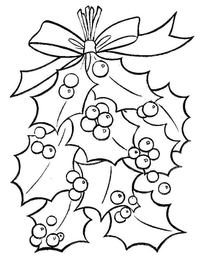 Coloring page: Christmas Holly (Holidays and Celebrations) #217597 - Free Printable Coloring Pages