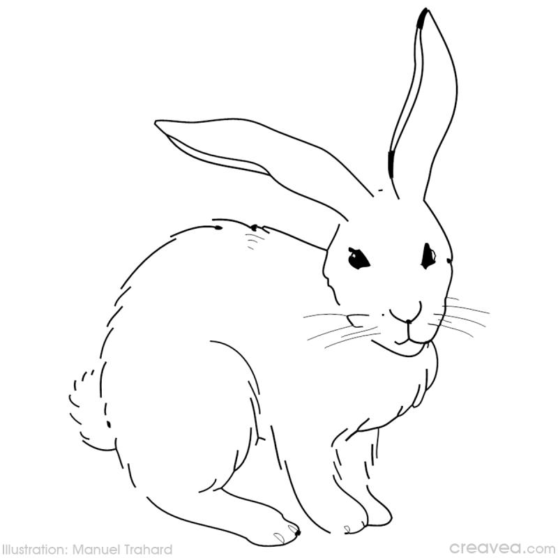 Coloring page: Easter (Holidays and Special occasions) #54719 - Free Printable Coloring Pages