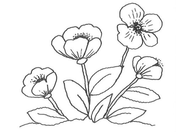 Coloring page: Mothers Day (Holidays and Special occasions) #129756 - Free Printable Coloring Pages