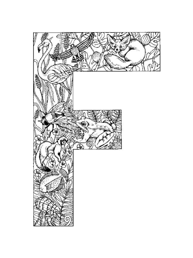 Free printable Letter F coloring page #194609 from Letters and Alphabet collection Free printable Letter F coloring page #194609 from Letters and Alphabet collection