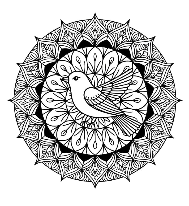 Free printable Bird Mandala coloring page #221971 from Mandalas collection